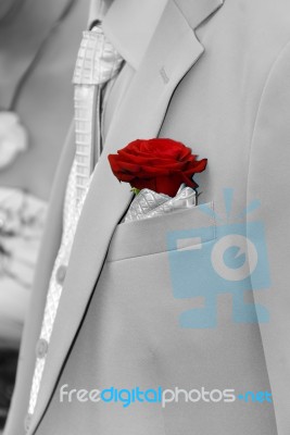 Red Rose In Pocket Of Suit Stock Photo