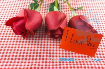 Red Rose With Message Card Image Of Valentines Day Stock Photo