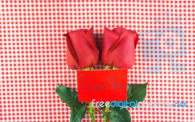 Red Rose With Message Card Image Of Valentines Day Stock Photo