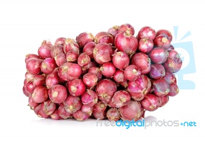 Red Shallot Isolated On The White Background Stock Photo