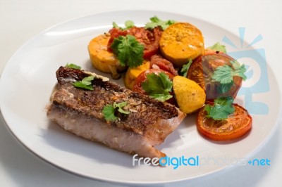 Red Snapper Filet Stock Photo