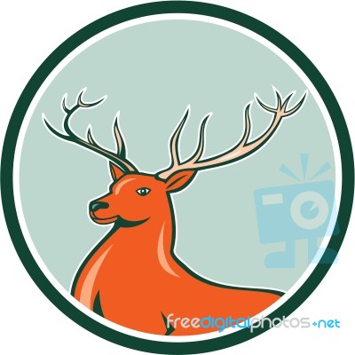 Red Stag Deer Side Circle Cartoon Stock Image