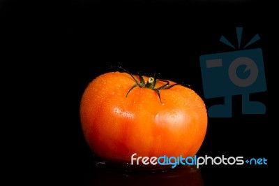 Red Tomato On A Black Background Stock Photo