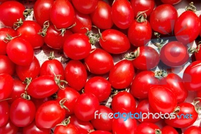 Red Tomatoes Stock Photo