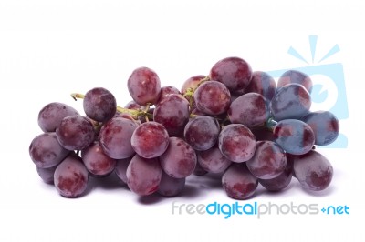 Red Wine Grapes Stock Photo