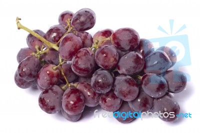 Red Wine Grapes Stock Photo