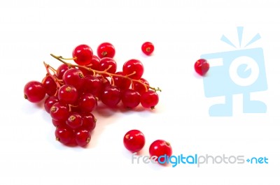 Redcurrants Stock Photo