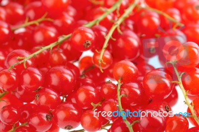 Redcurrants background Stock Photo