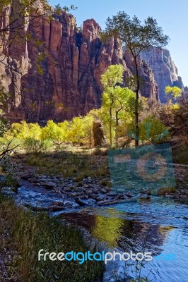 Reflection In The Virgin River Stock Photo