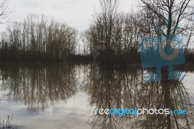 Reflection Of A Tree In The River Stock Photo