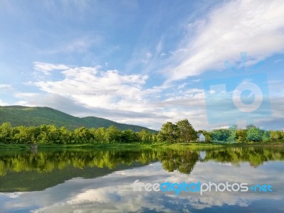 Reflection Of Natural Tree And Sky In A Lake Stock Photo