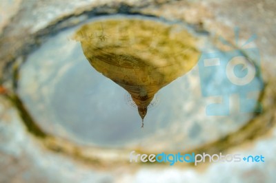 Reflection Of The Shwezigon Pagoda Or Shwezigon Paya In Nyaung-u… Stock Photo