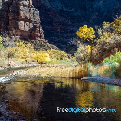 Reflections In The Virgin River Stock Photo