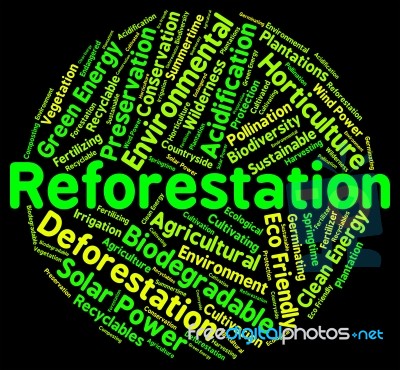 Reforestation Word Shows Again Woodlands And Words Stock Image