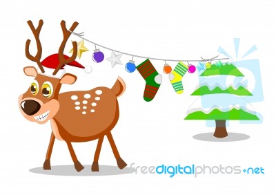 Reindeer Stock Image