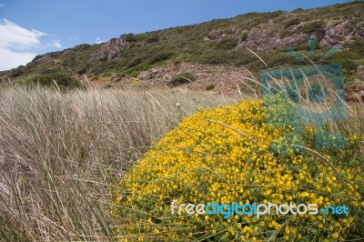 Remote Natural Landscape Stock Photo