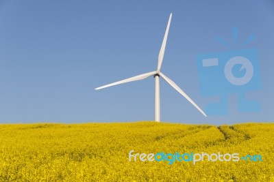 Renewable Energy Stock Photo