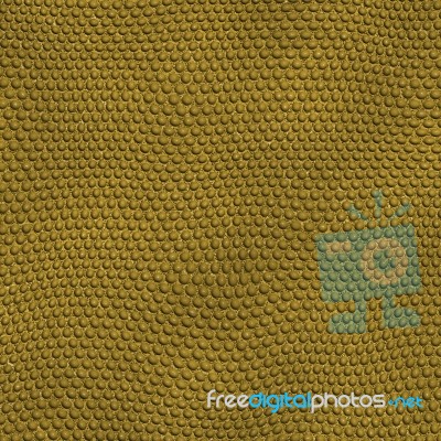 Reptile Skin Background Stock Image