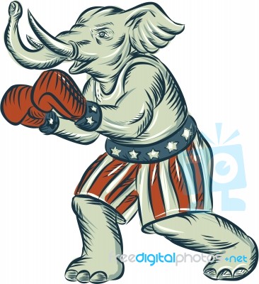 Republican Elephant Boxer Mascot Isolated Etching Stock Image