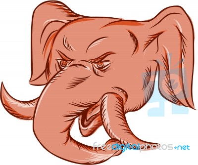 Republican Elephant Mascot Head Etching Stock Image