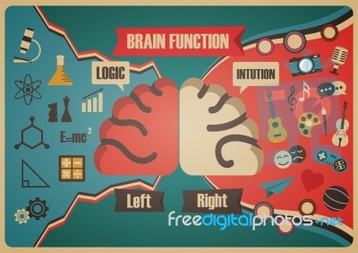 Retro Brain Function Chart Stock Image