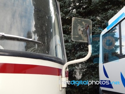 Retro Bus Antique Items And Elements  Stock Photo