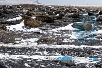 Reynisfjara Volcanic Beach In Winter Stock Photo