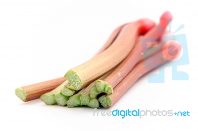 Rhubarb Stock Photo