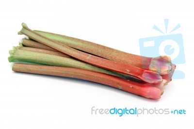 Rhubarb Stock Photo