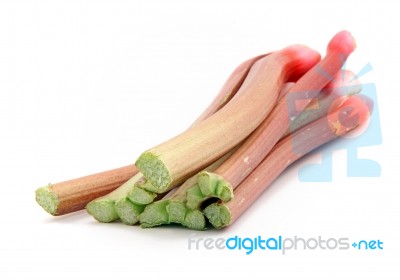 Rhubarb Stock Photo