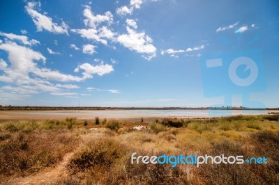 Ria Formosa Marshlands Located In The Algarve, Portugal Stock Photo