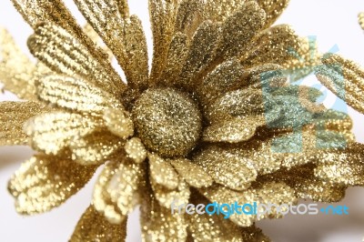 Ribbon Bow Of Flower Stock Photo