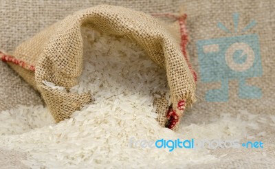 Rice Stock Photo