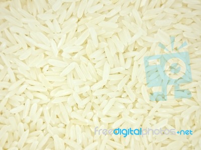 Rice Stock Photo