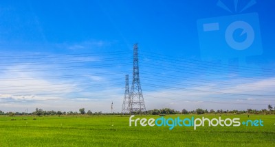 Rice Fields And Sky Stock Photo