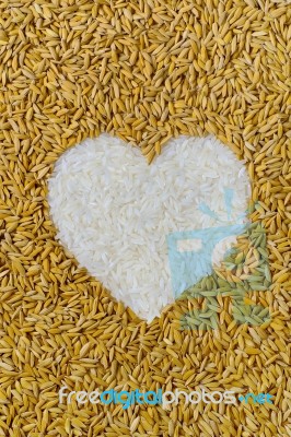 Rice Grains In Heart Shape  Stock Photo