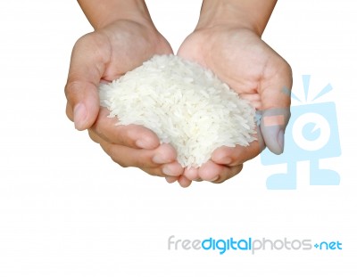 Rice In Hands Stock Photo