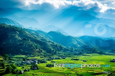 Rice Terrace Stock Photo