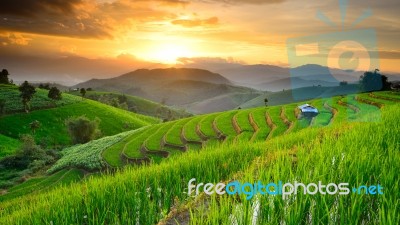 Rice Terraces With Sunset Backdrop At Ban Papongpieng Chiangmai Stock Photo