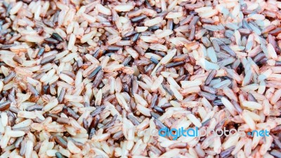 Riceberry Rice And Brown Rice In Thailand Stock Photo