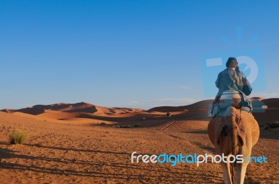 Ride In The Sand Stock Photo