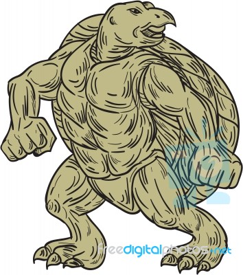 Ridley Sea Turtle Martial Arts Stance Drawing Stock Image