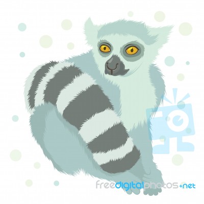 Ring Tailed Lemur Stock Image