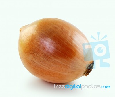 Ripe Onion On A White Background Stock Photo