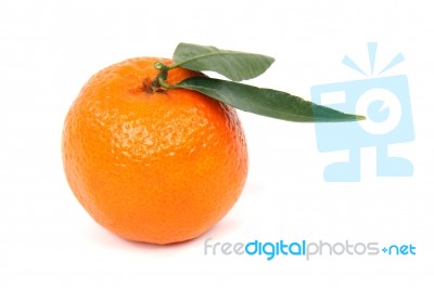 Ripe Orange Isolated On White Background Stock Photo