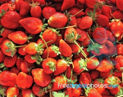 Ripe Perfect Strawberry Stock Photo