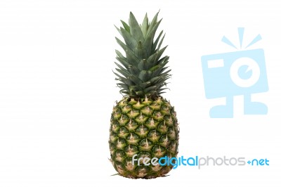 Ripe Pineapple Isolated On White Stock Photo