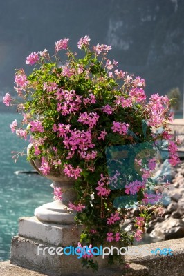 Riva Del Garda, Italy/europe - October 24 : An Urn Filled With F… Stock Photo