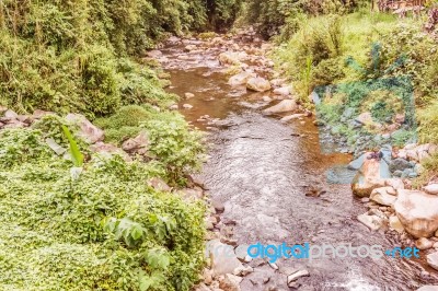 Rive In Rain Forest In Costa Rica Stock Photo