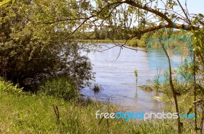 River Stock Photo